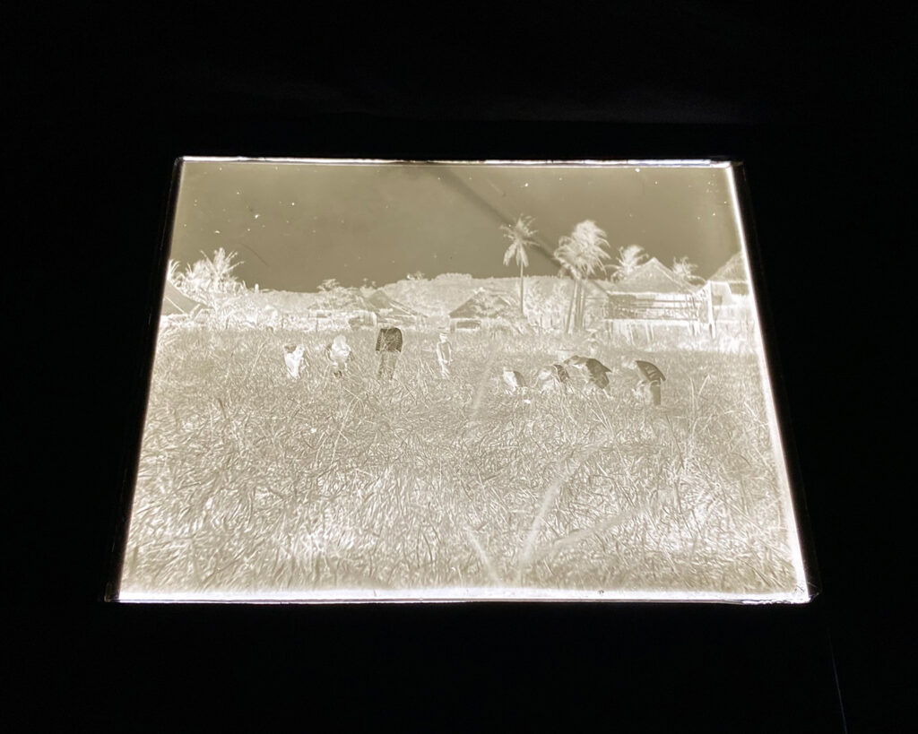 A glass plate negative photographed in Cornell University Library's digitization lab. 